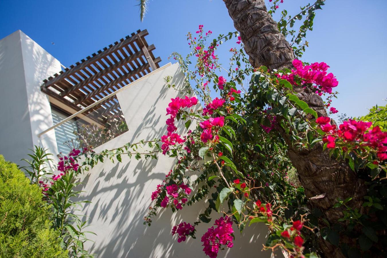 Penthouse Duplex Overlooking The Mediterranean Larnaca Buitenkant foto